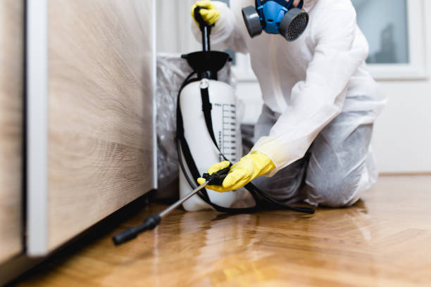 Best Pest Removal Services  in Winter Garden, FL