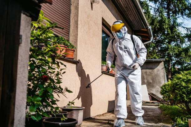 Best Wasp Removal Services  in Winter Garden, FL
