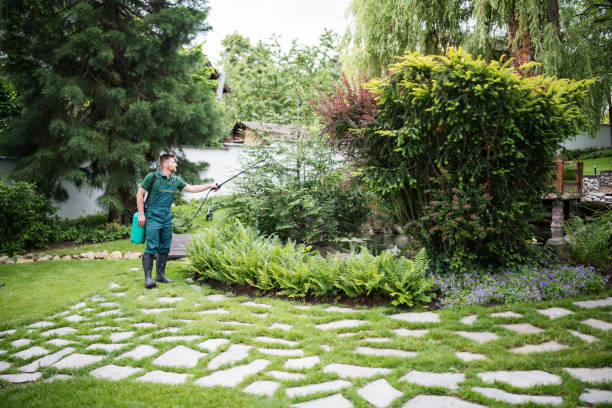 Best Affordable Pest Control Services  in Winter Garden, FL