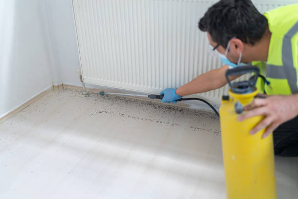 Best Insect Control  in Winter Garden, FL